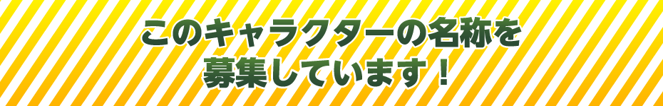 この子の名前を募集します